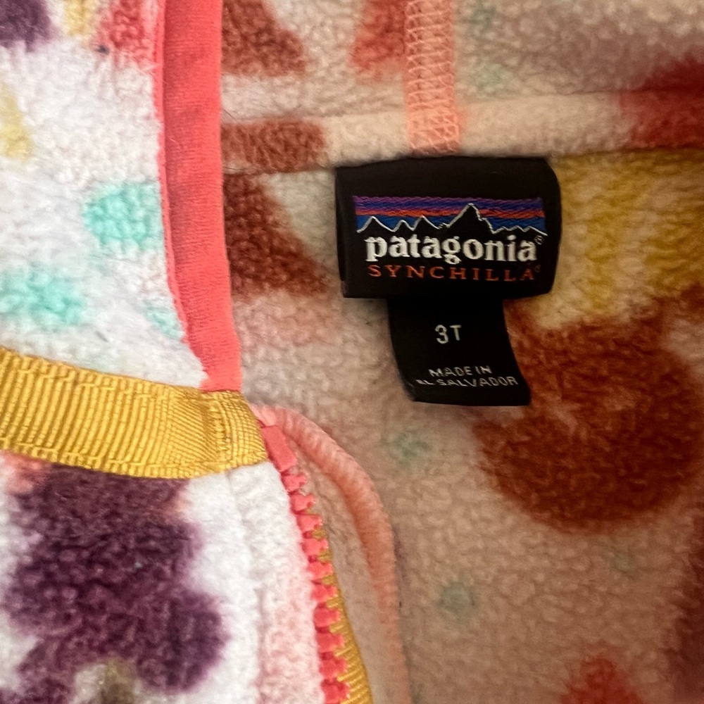 Patagonia Synchilla Fleece Jacket - Multicolor - Picture 3 of 3